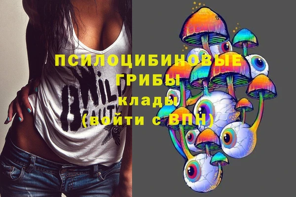 МДПВ Каменногорск