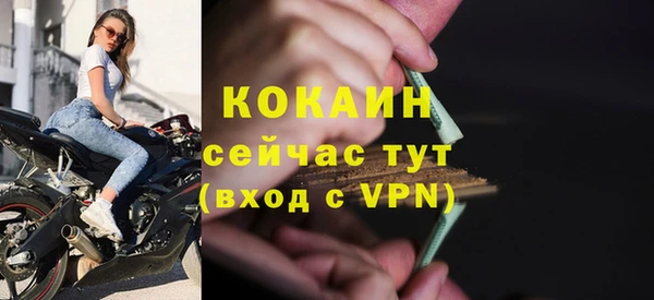 стаф Каменск-Шахтинский