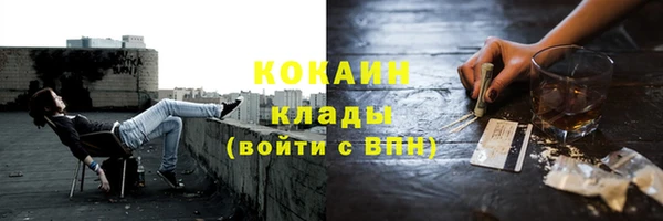 стаф Каменск-Шахтинский