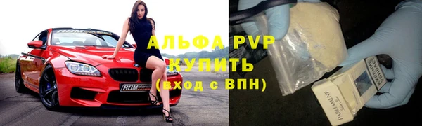стаф Каменск-Шахтинский