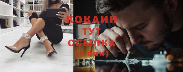 МДПВ Каменногорск