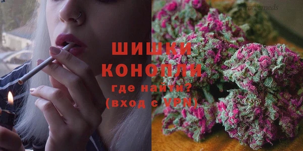 МДПВ Каменногорск