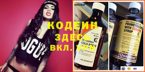 МДПВ Каменногорск