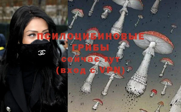 МДПВ Каменногорск