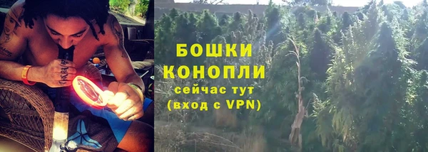 МДПВ Каменногорск
