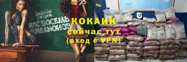 стаф Каменск-Шахтинский