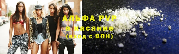 стаф Каменск-Шахтинский