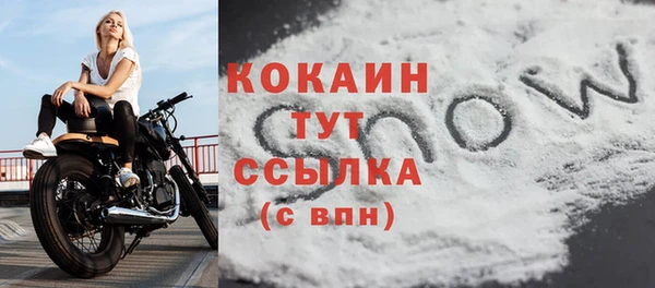 стаф Каменск-Шахтинский