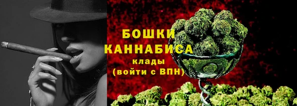 стаф Каменск-Шахтинский