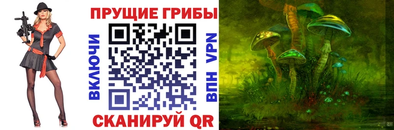 Купить закладки  Пошехонье  Псилоцибиновые грибы прущие грибы 